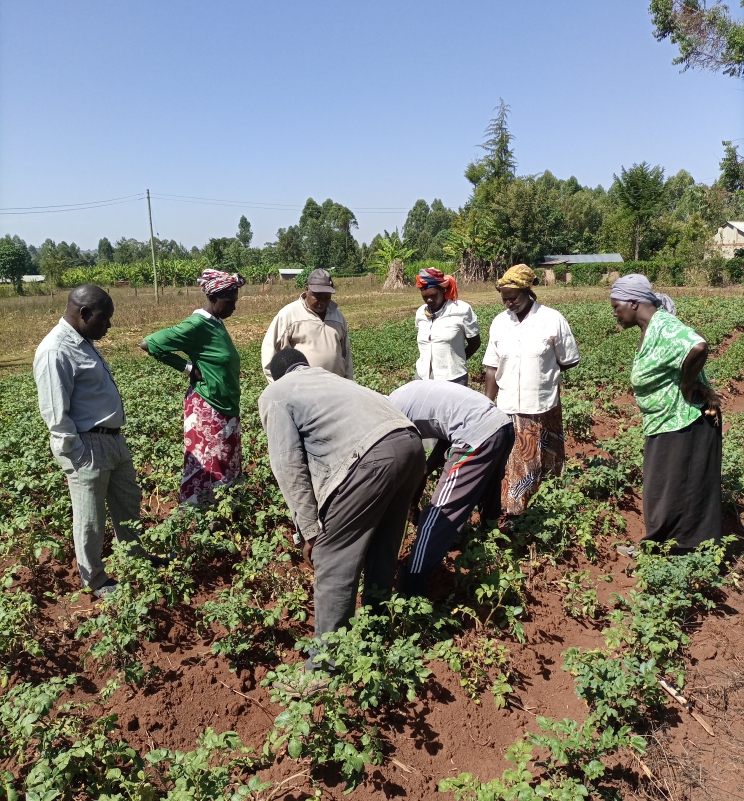 Agricultural training